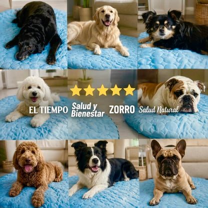 CoolRest: más frescor y descanso para tu perro