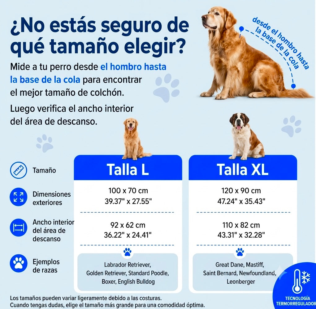 CoolRest: más frescor y descanso para tu perro