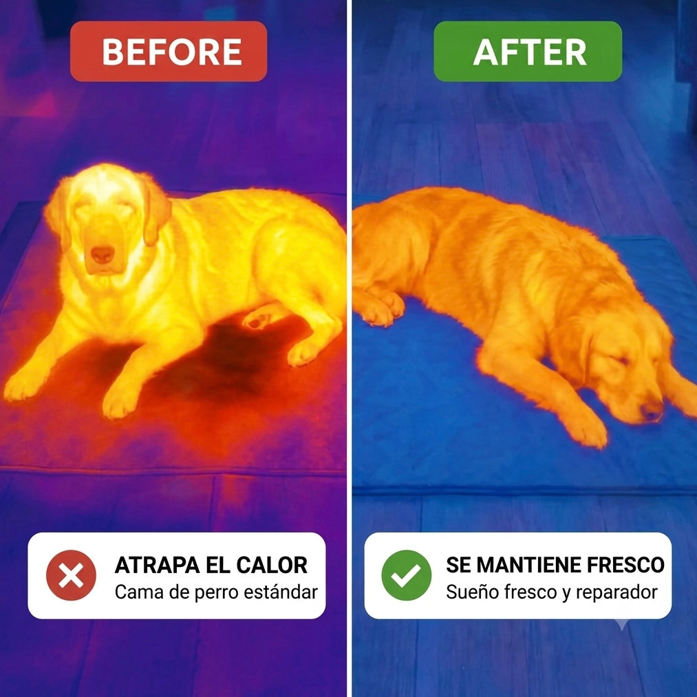 CoolRest: más frescor y descanso para tu perro