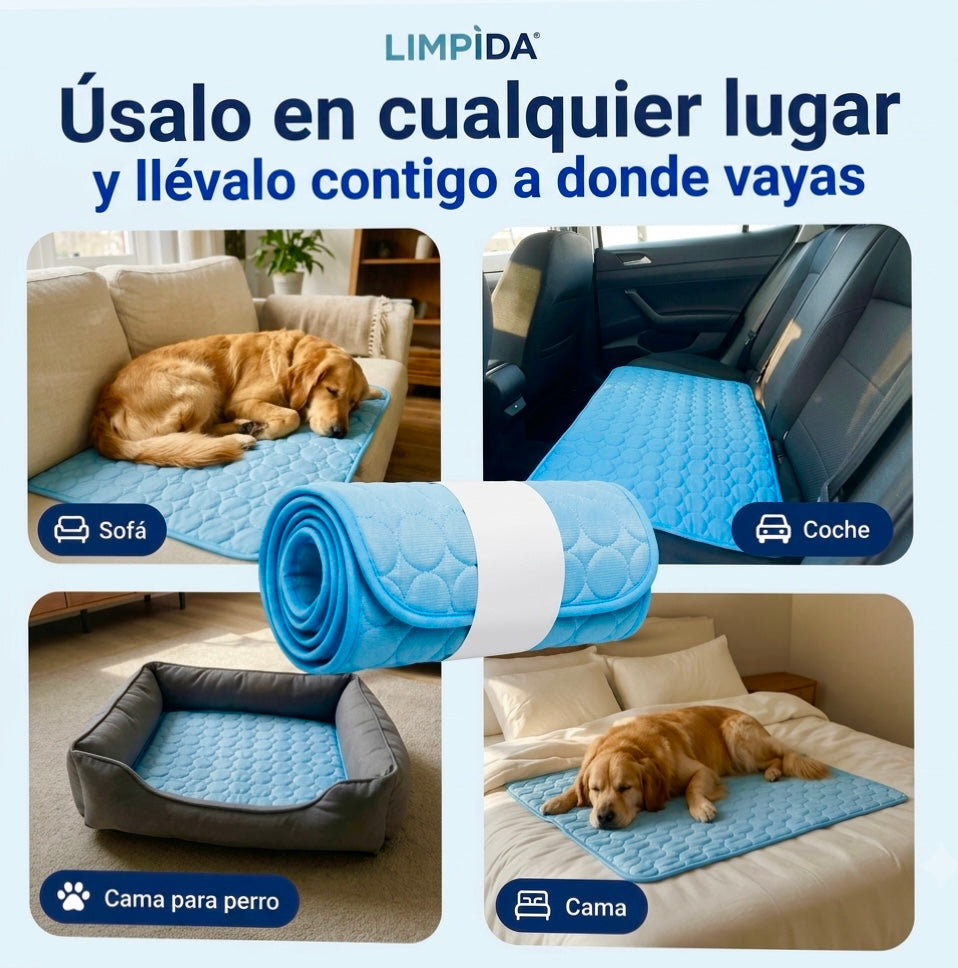 CoolRest: más frescor y descanso para tu perro