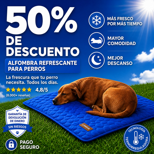 CoolRest: más frescor y descanso para tu perro